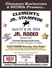 Jr. Rodeo Flyer