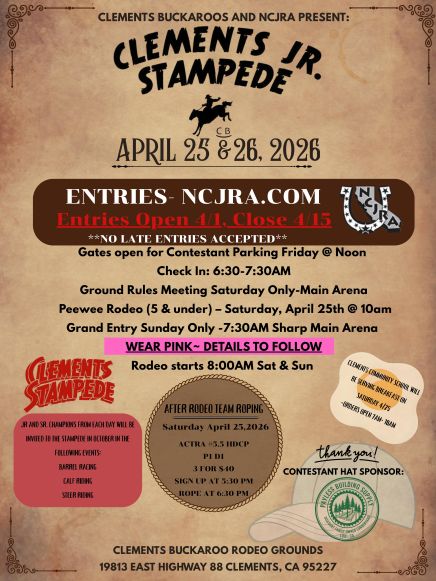 Jr. Rodeo Flyer